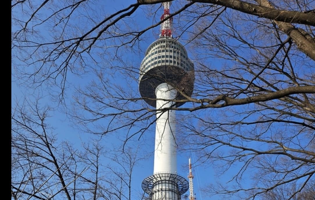 SAMDOCHEON 三途川 XR 아트 쇼케이스
